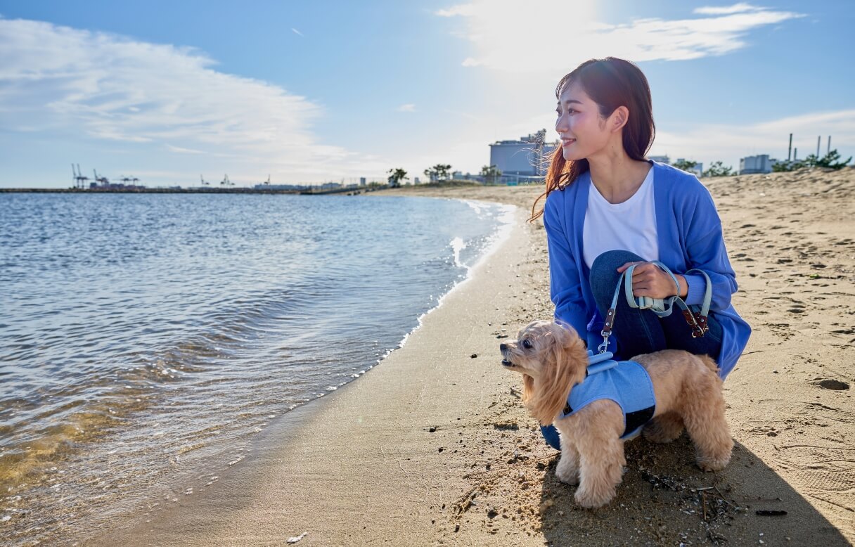 ペット里親探し譲渡事業