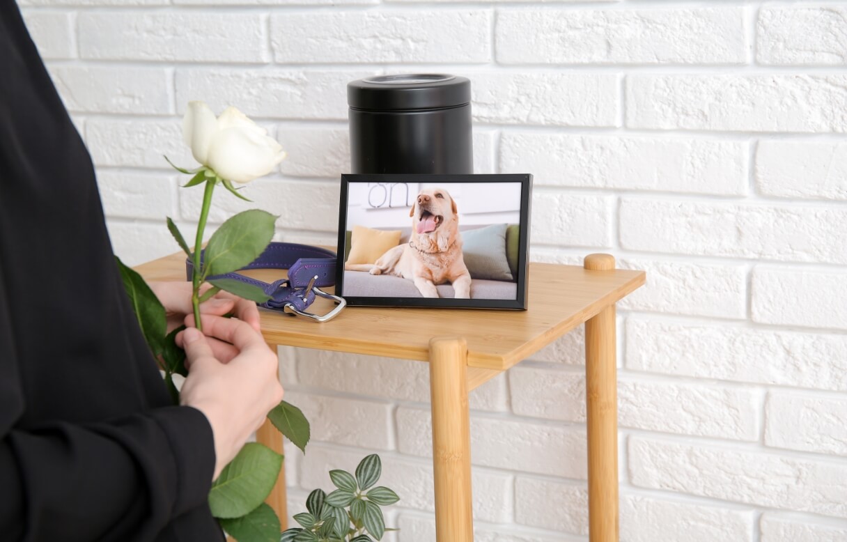 ペットセレモニー